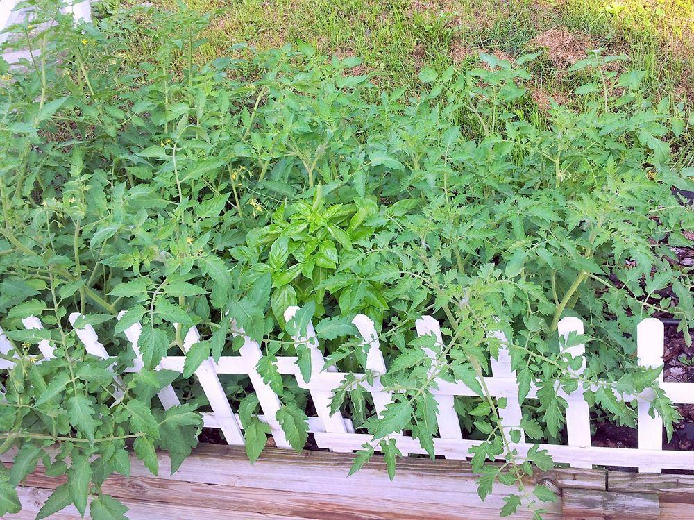 Albergue The Wayfaring Buckeye Columbus