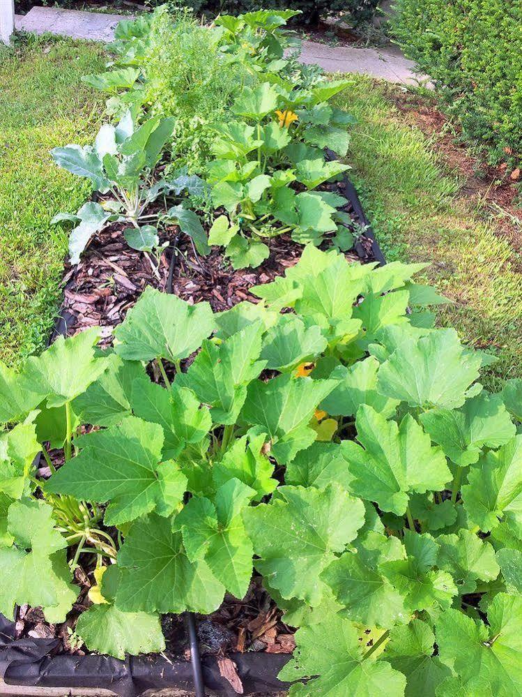 Albergue The Wayfaring Buckeye *