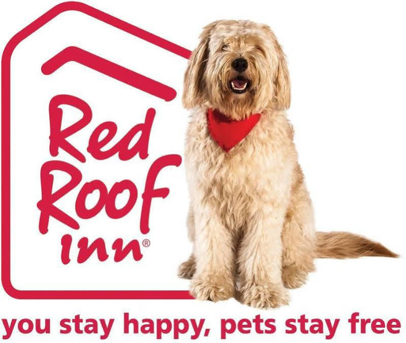 Red Roof Plus+ Columbus-ohio State Osu 3* Columbus